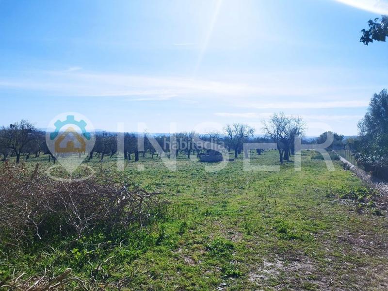 Foto 0f4393a1-f134-4b40-8234-71a2f11d2822. Casa finca rustica en Campanet