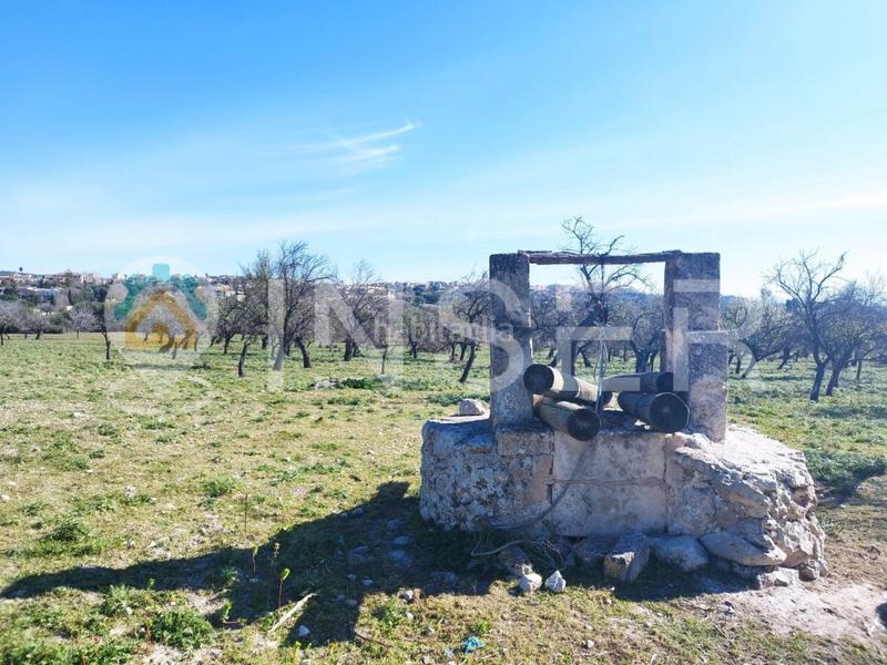 Foto 49c7b266-5ed5-4eaa-834e-cda0f30ef78d. Casa finca rustica en Campanet