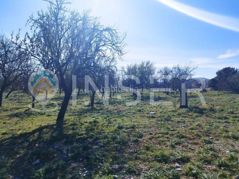Foto c83ad3fa-49f6-45b7-ae44-737475af9f99. Casa finca rustica en Campanet