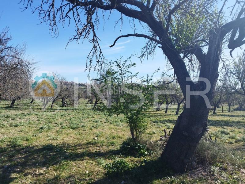 Foto de78491e-1ae9-426a-8a24-c8a7599aca02. Casa finca rustica en Campanet