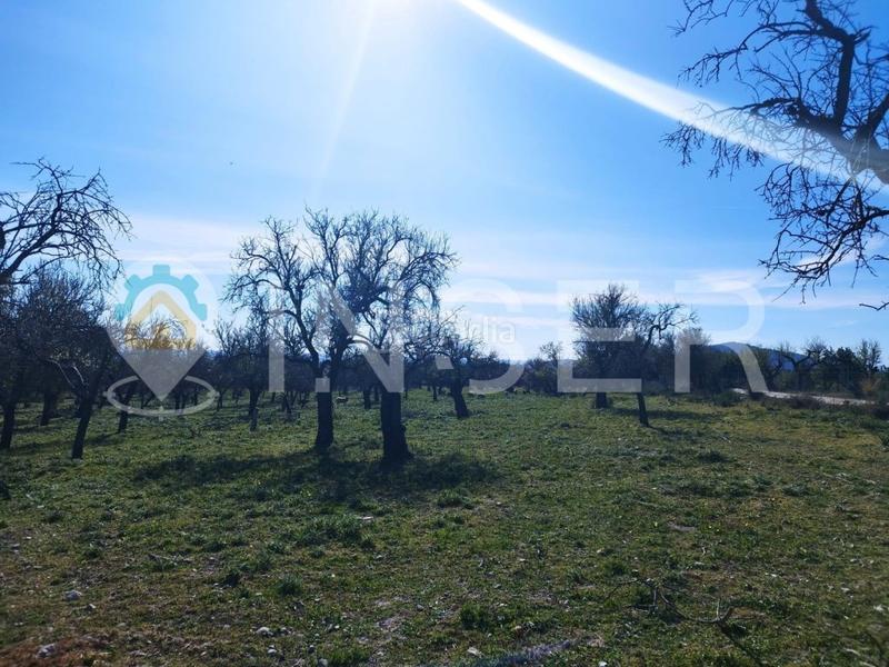 Foto fd44ad10-a3f0-437d-9e89-e3cfc3700774. Casa finca rustica en Campanet