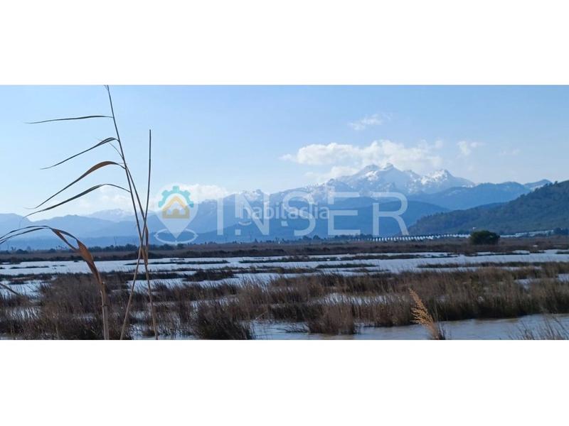 Foto c5a9389a-a2be-413b-b5ab-824d204eb18c. Xalet a port d´Alcúdia-platja dálcúdia Alcúdia