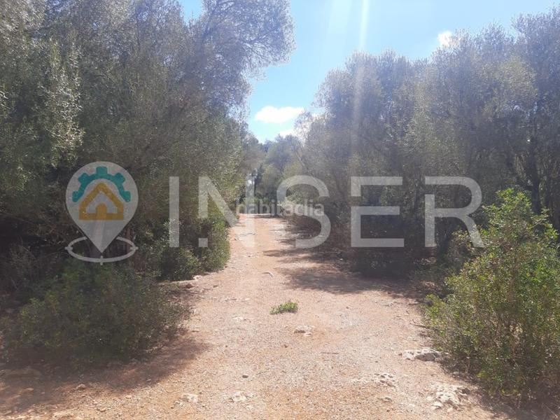 Foto 16dfdb6e-7d44-4c14-bbe8-0542dac8a3d5. Casa gran finca rustica con múltiples edificaciones en Campos