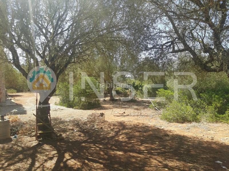 Foto 3b60b402-5e1a-42c9-9f78-92bc65cfe0a8. Casa gran finca rustica con múltiples edificaciones en Campos