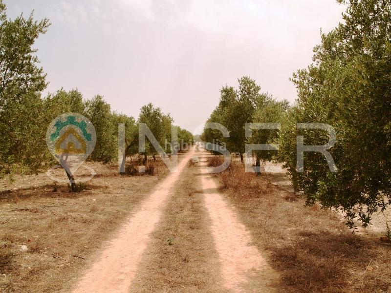 Foto d4d48b3e-d778-4604-b09f-e23489eae179. Masia a Llubí