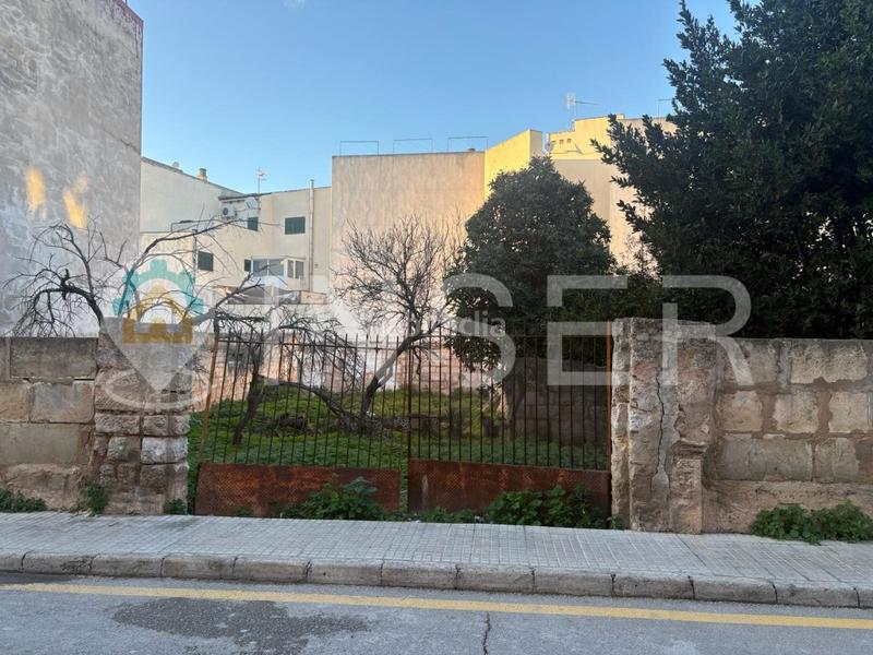 Foto 410937b3-40e7-46c8-bf99-012f52dfcf49. Terrain résidentiel dans Son Amonda - Reis Catòlics Inca