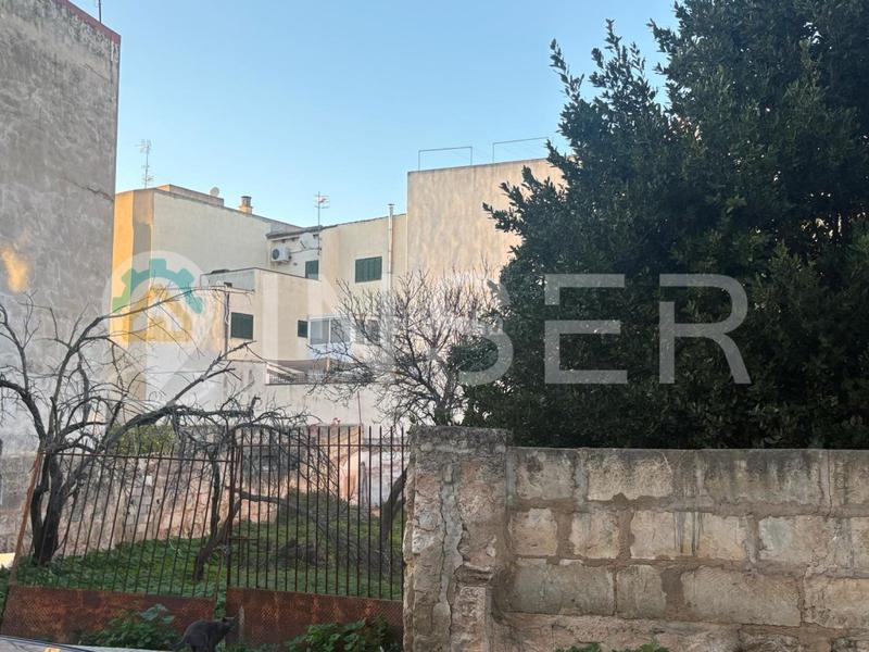 Foto 70da87ea-2d92-4530-84e8-ce80ea3e9bf9. Terrain résidentiel dans Son Amonda - Reis Catòlics Inca