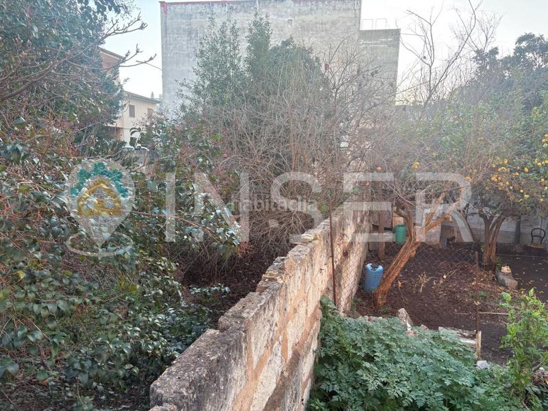 Foto c96957df-dad4-4107-ad0d-9f0c7693b189. Terrain résidentiel dans Son Amonda - Reis Catòlics Inca