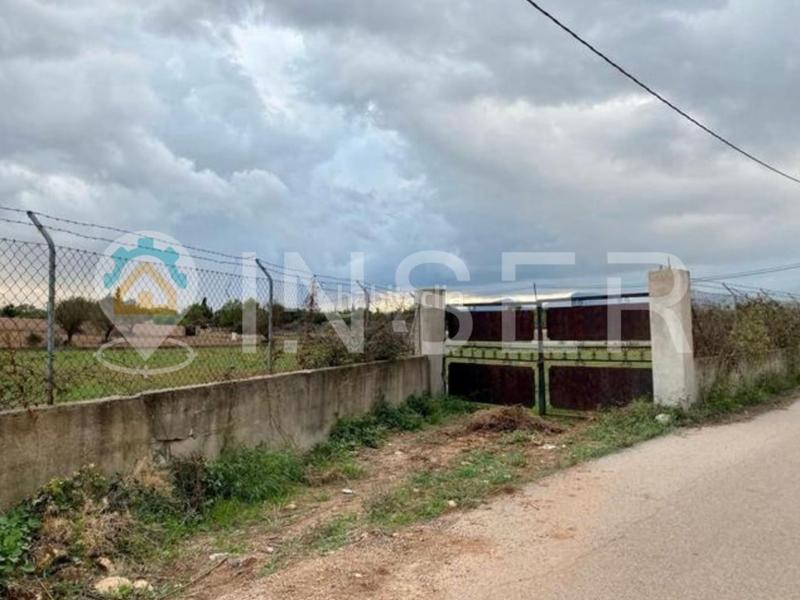 Foto 1c253e9d-4e4d-418c-b372-73441e679e94. FInca rústica a Zona Periurbana Inca