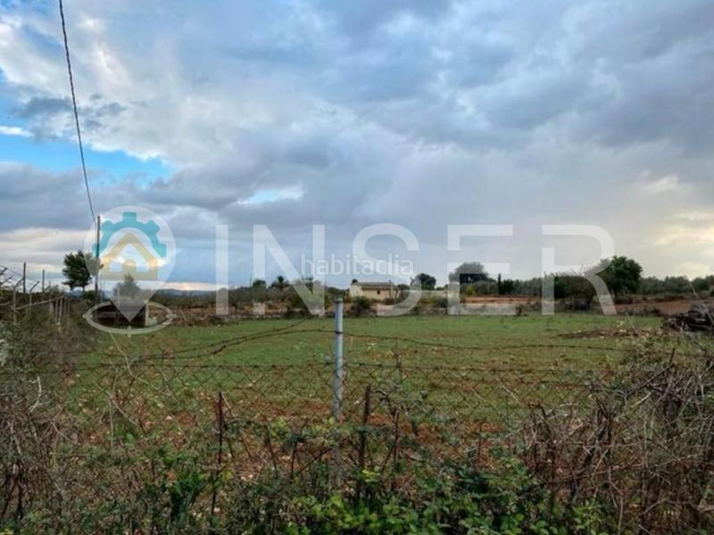 Foto 988a3a59-13df-4b62-9806-d02e6fdaf00f. FInca rústica a Zona Periurbana Inca