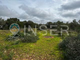 Casa  N/a. Finca rstica edificable con proyecto en son trompa, campos, en