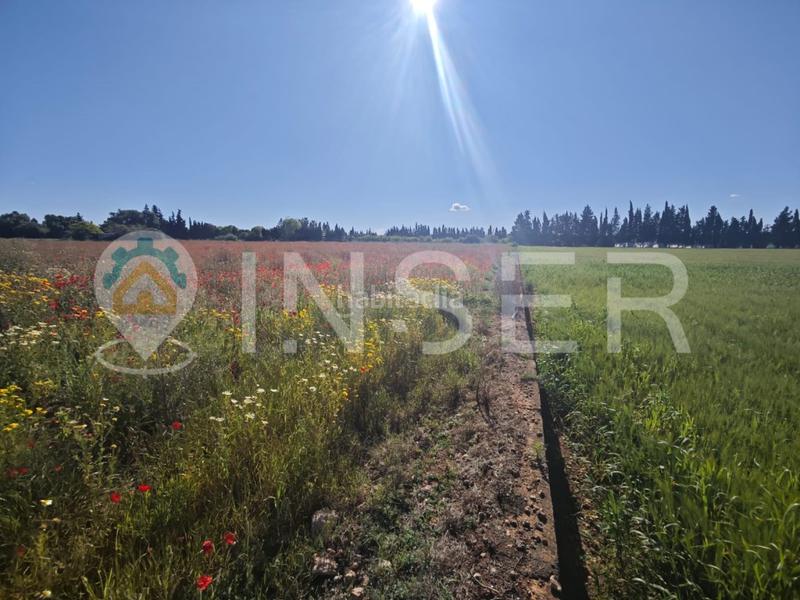 Foto b0778562-6876-4da5-a9c5-09c2d52366c3. Casa in Llubí