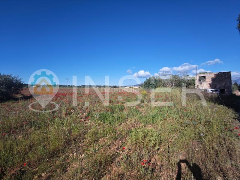 Foto e384e536-0b35-4694-b11c-3092c1fa19b3. Casa in Llubí