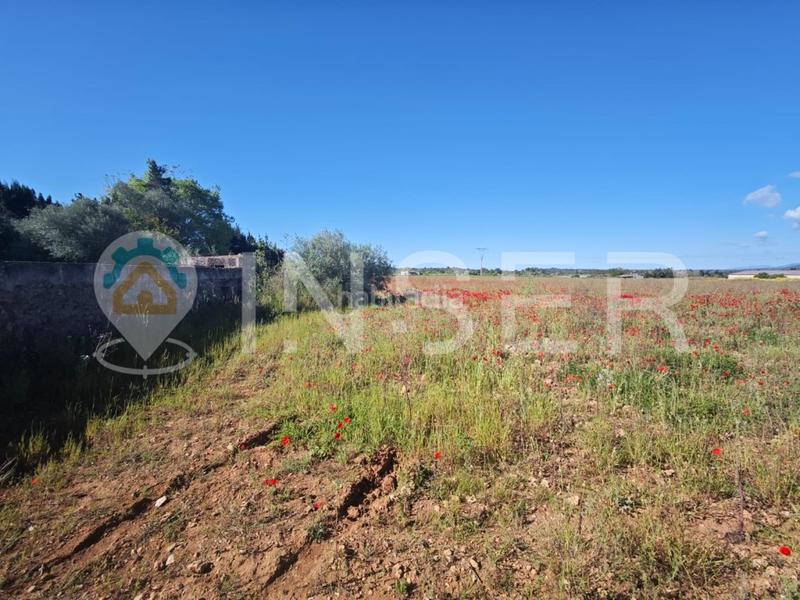 Foto eec8ba1d-f6d1-4ba6-af44-da38ceed87e5. Casa in Llubí