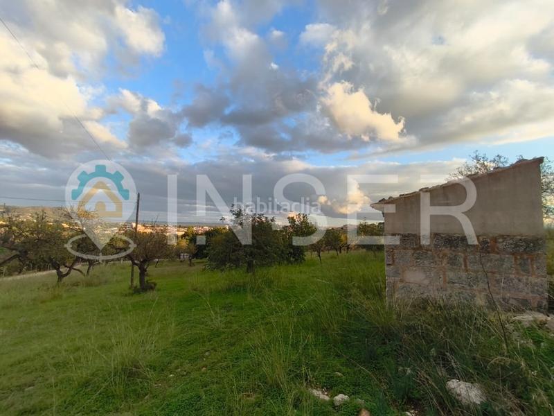 Foto 09f731f9-fd8d-47dd-a93e-637c6fcb405f. Casa in Son Amonda - Reis Catòlics Inca