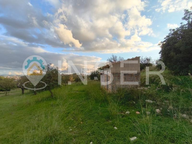 Foto 3db7aa69-8c3e-4176-ad05-ae6d52006cd3. Casa in Son Amonda - Reis Catòlics Inca