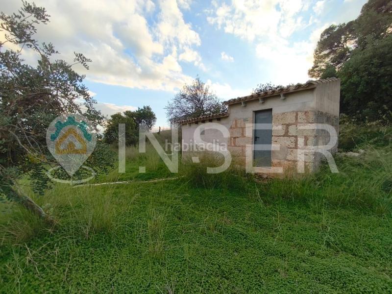 Foto 79d46c5f-d00d-4445-be1a-eb375ec3950a. Casa in Son Amonda - Reis Catòlics Inca