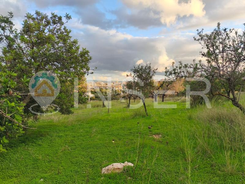 Foto a94e46f4-0b44-491b-b6e3-7b37b61632b1. Casa in Son Amonda - Reis Catòlics Inca