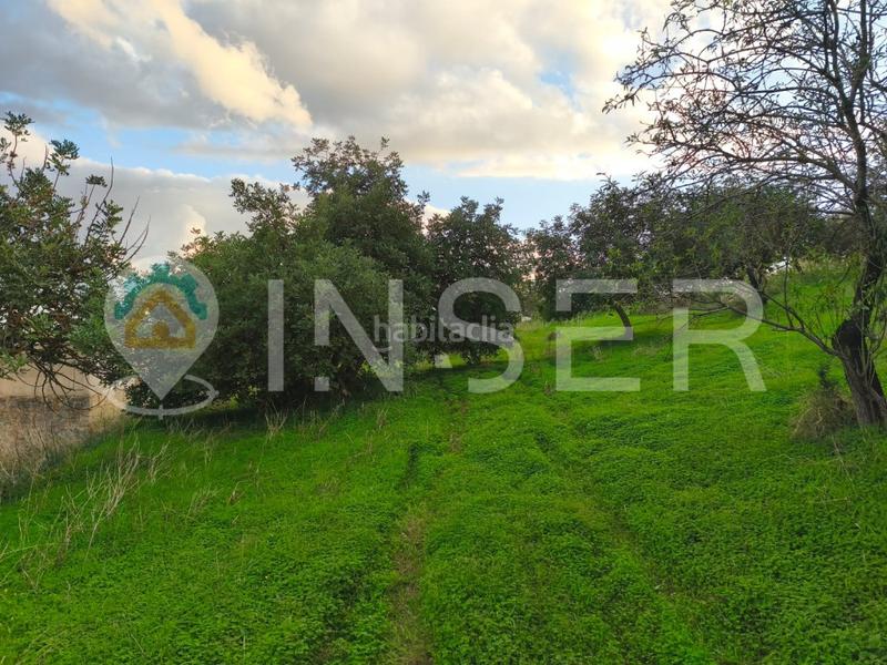 Foto b93758c5-b7b6-4973-935b-23227835a250. Casa in Son Amonda - Reis Catòlics Inca