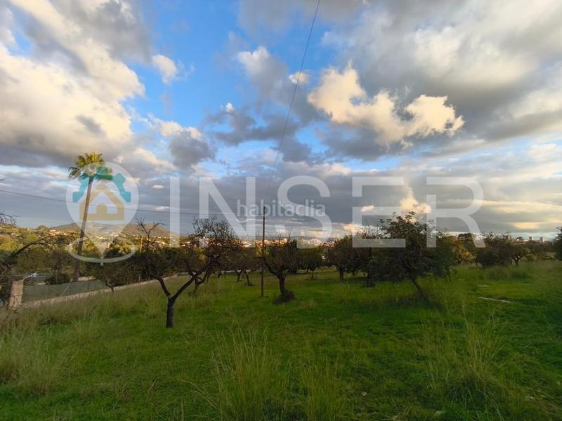 Foto bf7ad2a6-f4fc-416d-ae72-a318b623d368. Casa in Son Amonda - Reis Catòlics Inca