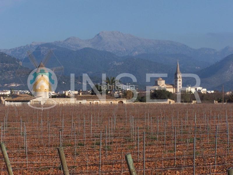 Foto 48456112-0787-4bea-8d9b-3a91ad899f03. Location local commercial dans Sencelles