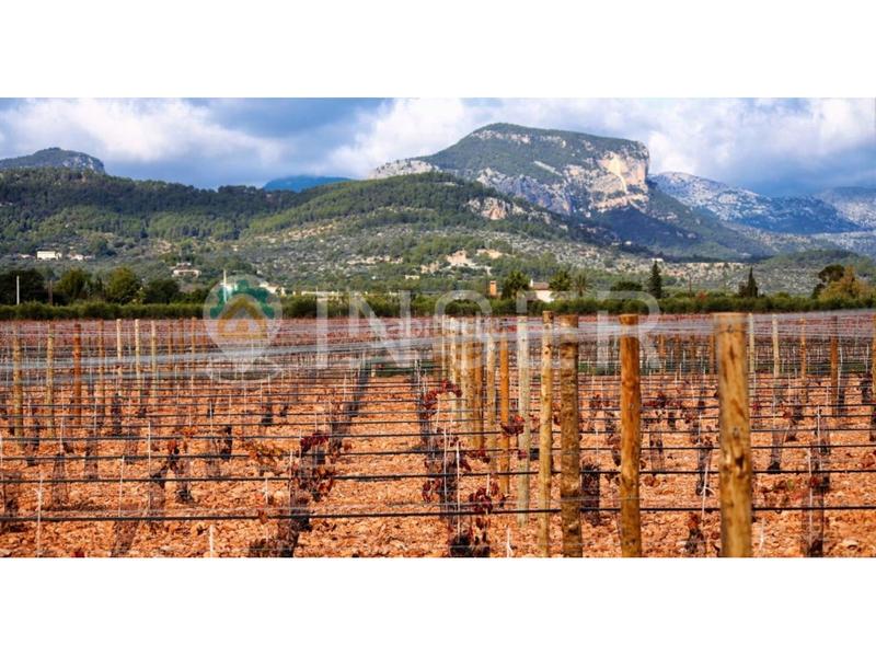 Foto 9f0032b2-5445-4248-985b-7527821863dc. Location local commercial dans Sencelles