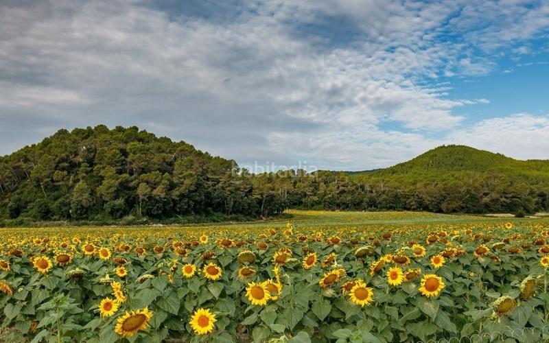 Foto 875e8c62-95ec-491d-abd7-c41d63739f1b. Terreno residencial exclusiva parcela urbana de 525m en Aiguaviva