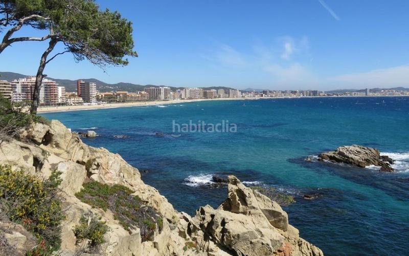 Foto 5b7fb88d-b73e-4798-a155-648e4a1ad013. Appartement dans avenida avinguda de catalunya dans Sant Antoni de Calonge