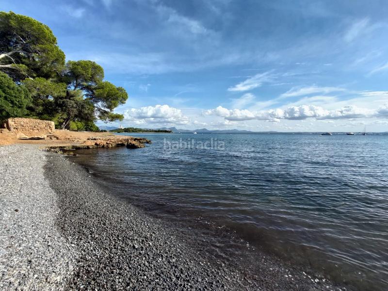 Foto d6281c28-d714-4c5c-b58d-eccdcbbf1f65. Piccolo appartamento con riscaldamento parcheggio in Alcúdia
