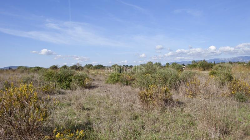 Foto 0e041848-38f0-4422-978f-71f56c5ac818. Terreno residenziale in Sencelles