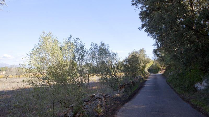 Foto 3f704cb9-194a-45cb-8bcf-fffd18f6a047. Terreno residenziale in Sencelles