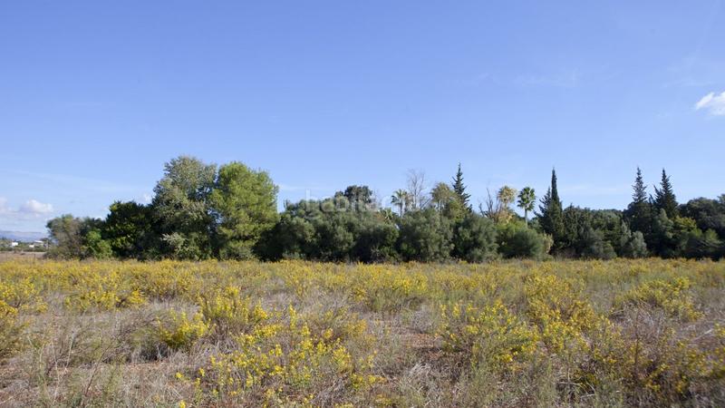 Foto 9dd82d9f-2ddb-4ead-96d2-8a790ad1fef0. Terreno residenziale in Sencelles