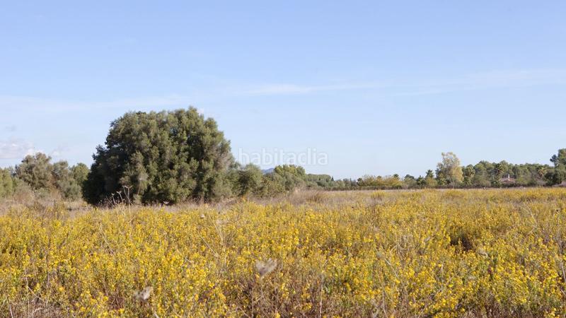 Foto a6de54b5-d769-4f88-af03-74e5ff44720c. Terreno residenziale in Sencelles