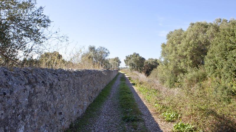 Foto ee2b34fa-1ba5-4546-8427-e8ca03f78683. Terreno residenziale in Sencelles