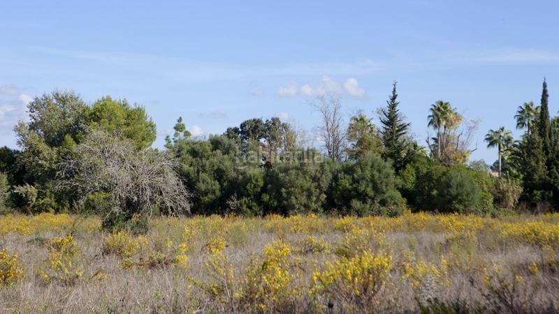 Foto f7575db7-12e9-425b-bb7b-cc5fa486a6b3. Terreno residenziale in Sencelles