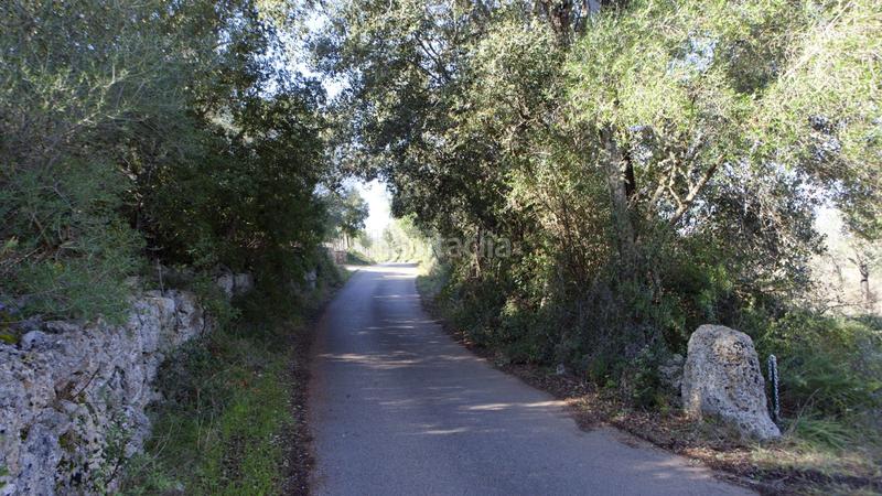 Foto f97351f8-15db-4f74-8f81-cfe8893d6b57. Terreno residenziale in Sencelles