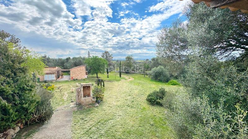 Foto 119edf0a-8f96-4158-8d52-de85ff47303f. Bauernhof mit heizung parking pool in Zona Periurbana Inca