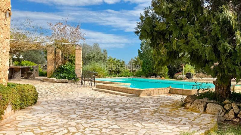 Foto 395ae050-3b6e-4e3f-9c11-ae5a5ec8f073. Bauernhof mit heizung parking pool in Zona Periurbana Inca