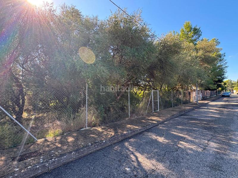 Foto 1586fa82-8046-4df9-8b2e-c555af826c0b. Terreny residencial a Sa Pobla