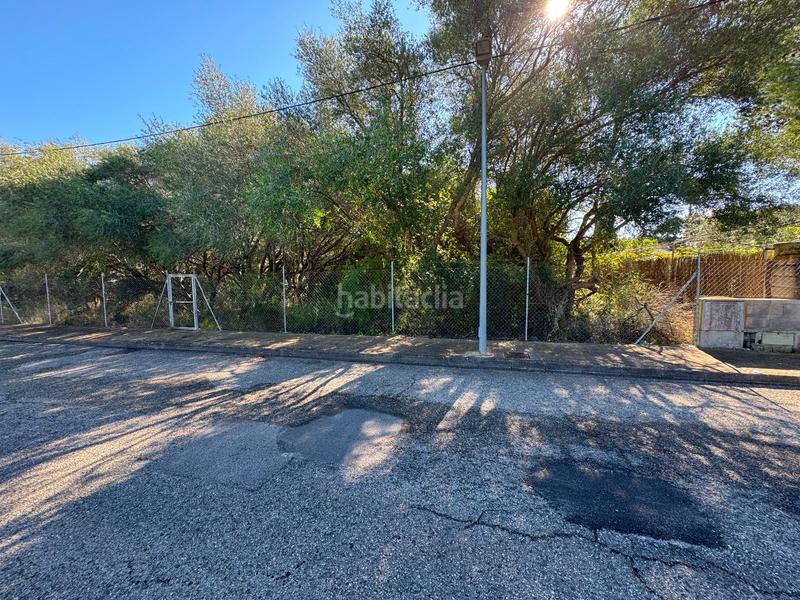 Foto 32b95741-428b-4ceb-8b74-79fc1318b2dd. Terreny residencial a Sa Pobla