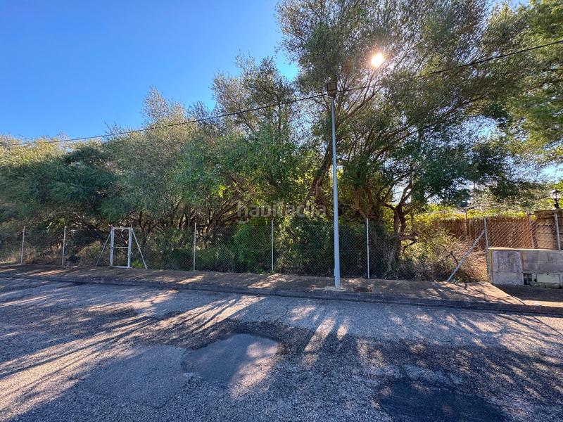 Foto 63bbcee1-f9c1-48db-b541-36fa91798073. Terreny residencial a Sa Pobla