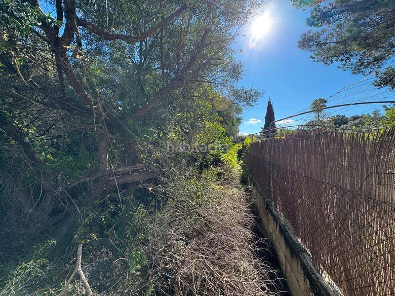 Foto e30375f2-676f-4ad3-a075-448618996fb9. Terreny residencial a Sa Pobla