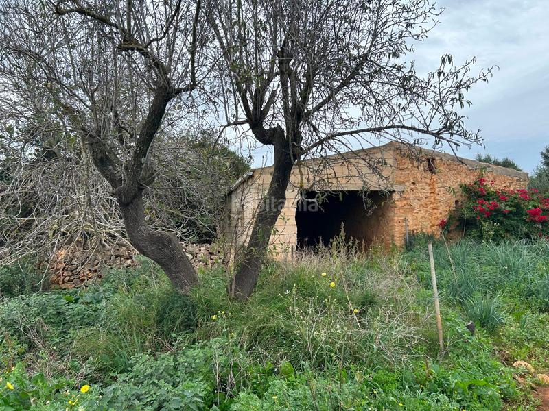 Foto 04f97e3e-52df-4582-9c38-a76b07f06dad. Bauernhof mit parking in Artà poble Artà