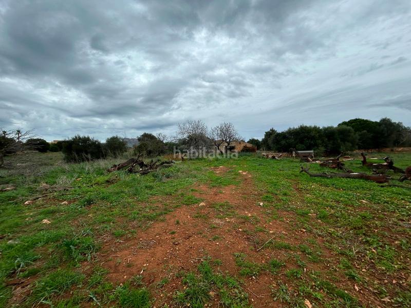 Foto 0eeed259-5e22-4dc6-b402-2a93bf21c234. Bauernhof mit parking in Artà poble Artà