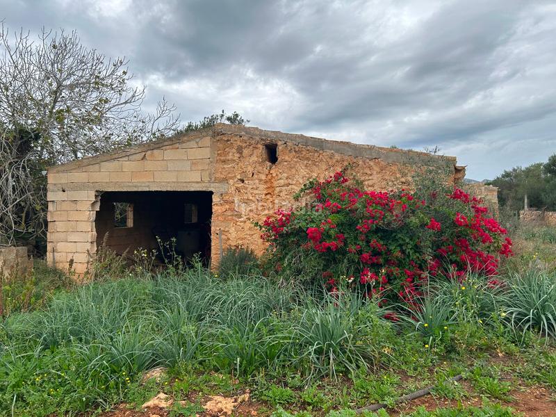 Foto 169bc8f1-7dfb-4f9f-bd51-9b5ac9a55927. Bauernhof mit parking in Artà poble Artà