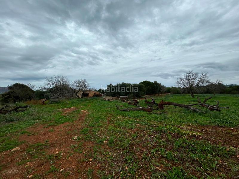 Foto 357d8f27-8719-482e-a789-431c05e9cf00. Bauernhof mit parking in Artà poble Artà