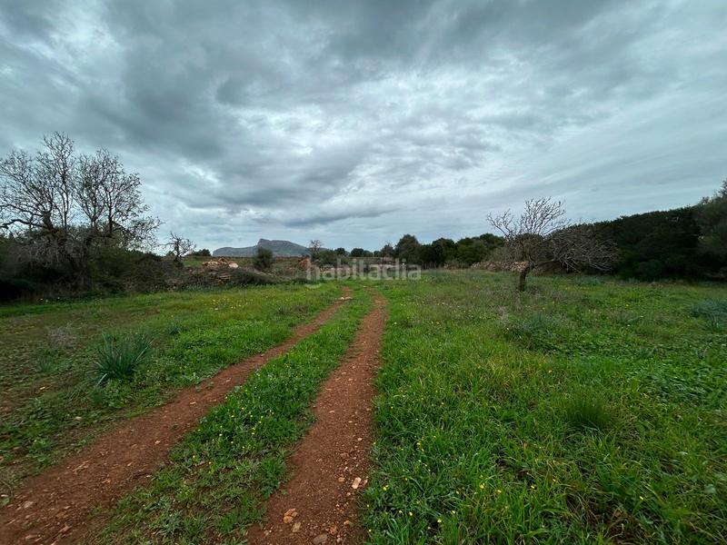 Foto 38843567-2c53-44c3-8c69-e5e1ae61dc6c. Bauernhof mit parking in Artà poble Artà