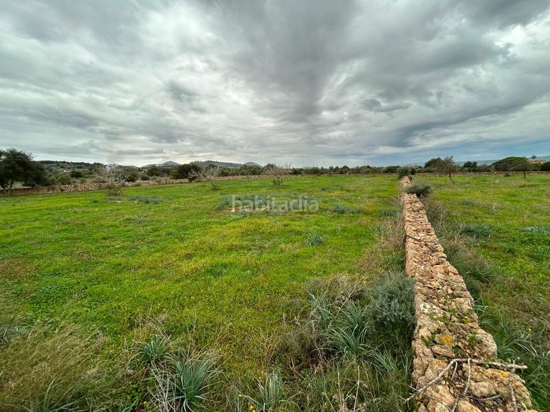 Foto 468e4a89-36fc-4c61-8920-f4236282a693. Bauernhof mit parking in Artà poble Artà