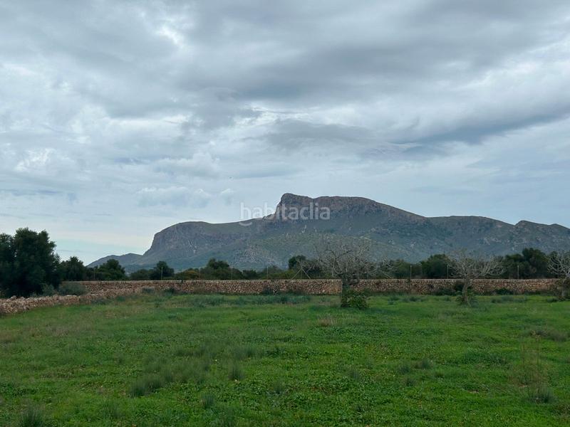 Foto 529271eb-f72f-4874-9725-0960af3901f4. Bauernhof mit parking in Artà poble Artà