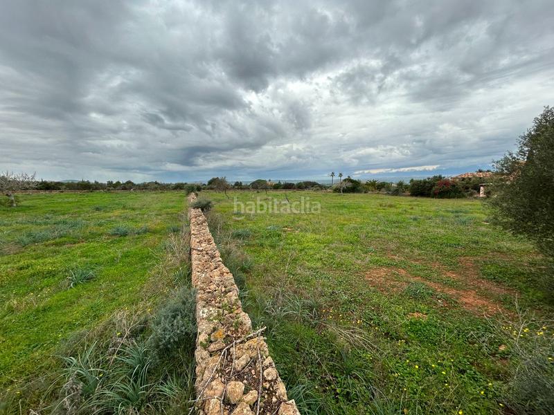 Foto 545d6cf7-5543-4bd4-b290-3d70b9838516. Bauernhof mit parking in Artà poble Artà